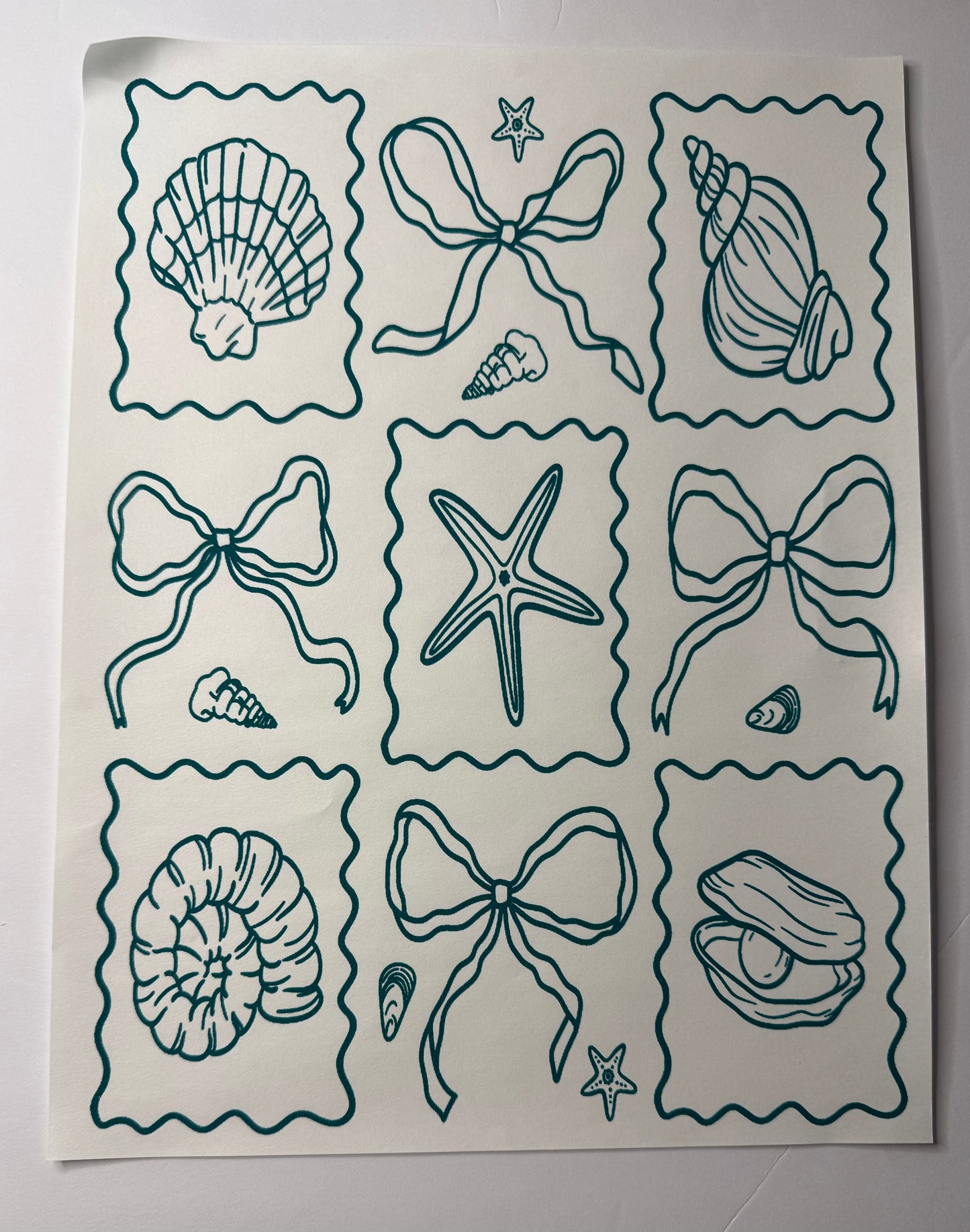 SHELL COLLAGE Transfer